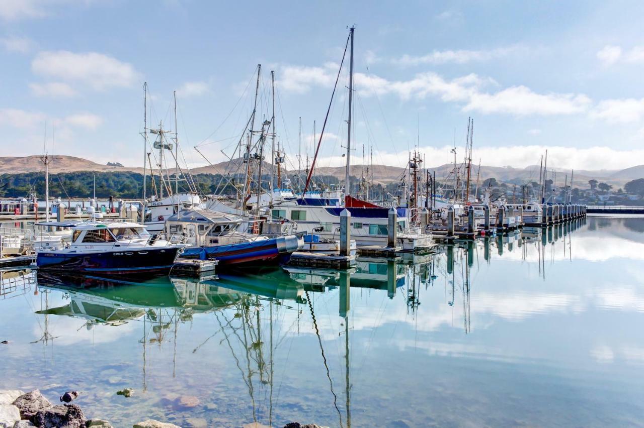 Bayside Cottage خليج بوديجا المظهر الخارجي الصورة
